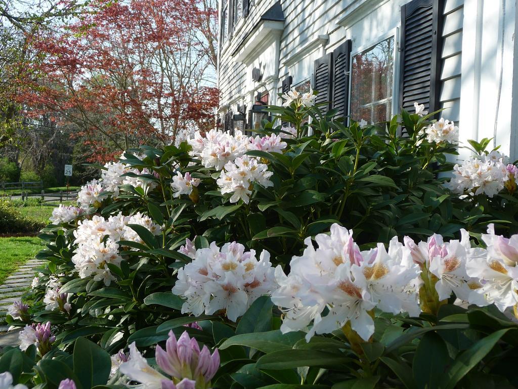 The Whalewalk Inn & Spa Eastham Exterior foto